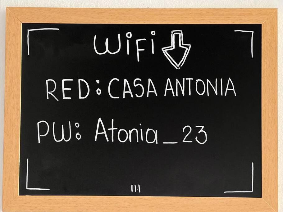 Nueva En San Antonio Cali, La Casa De Tona Villa Eksteriør billede